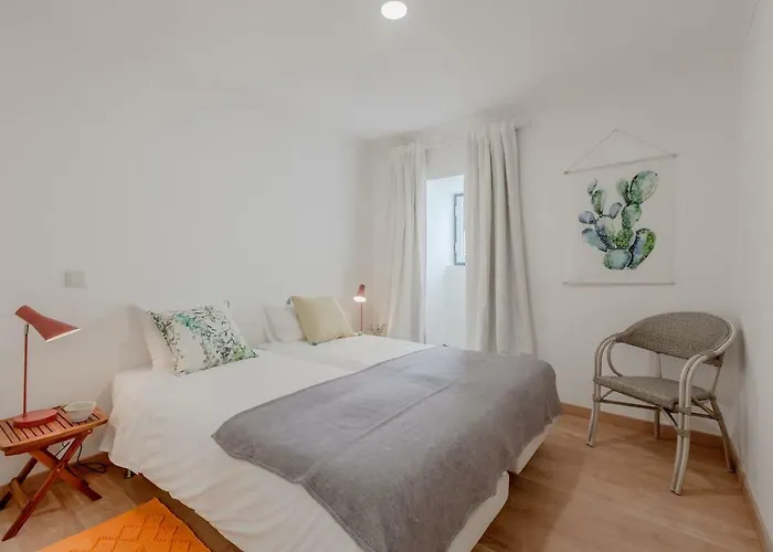 Bright & Spacious With Orange Tree Patio, By Timecooler